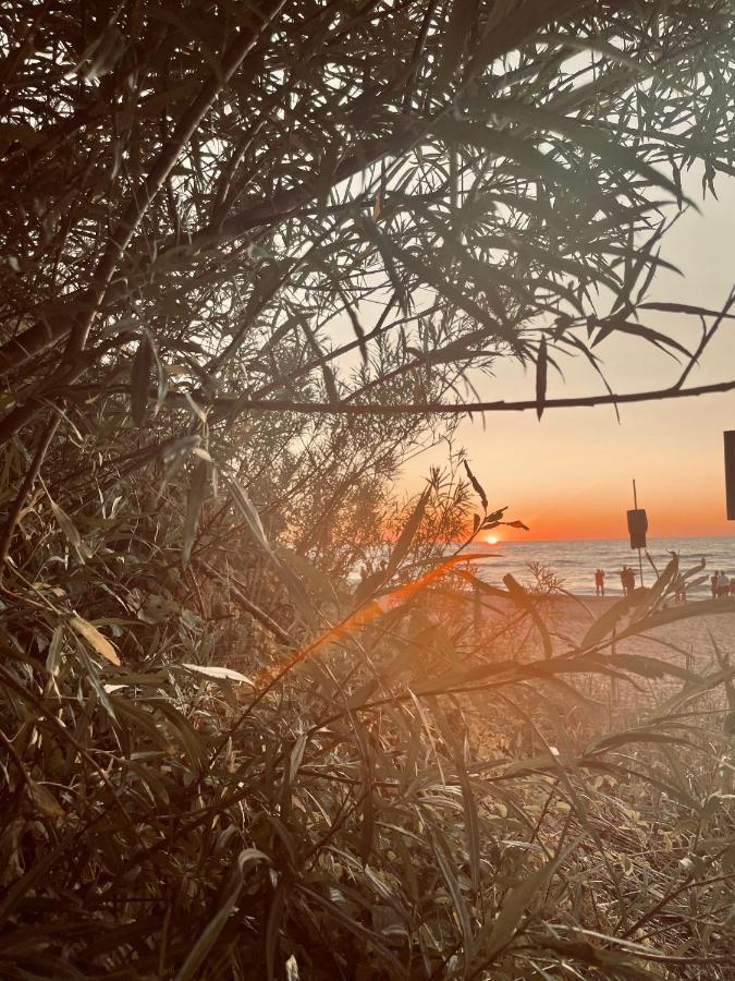Baltico Domki Letniskowe Sarbinowo Bagian luar foto