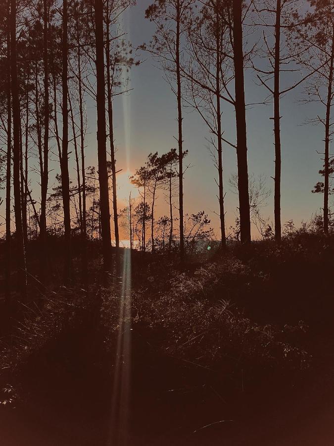 Baltico Domki Letniskowe Sarbinowo Bagian luar foto